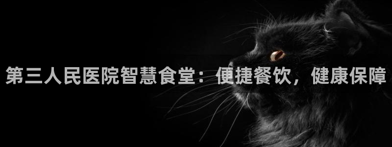 尊龙凯时美金能提取吗