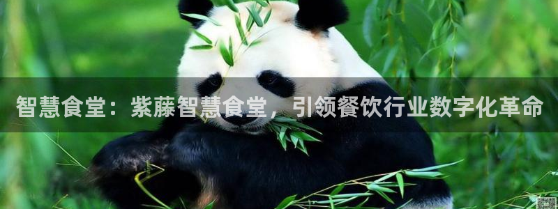 尊龙凯时存款不上分