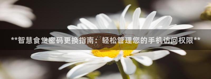 尊龙现在
