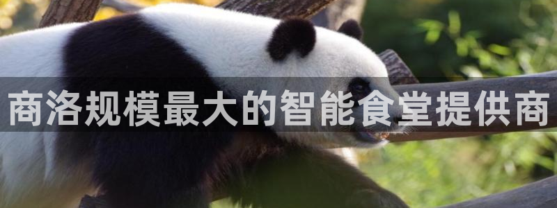 尊龙游戏官网