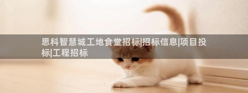 尊龙凯时平台入口