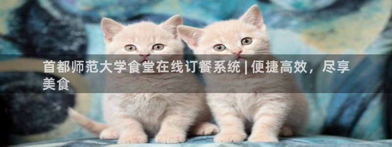 尊龙凯时存款不上分