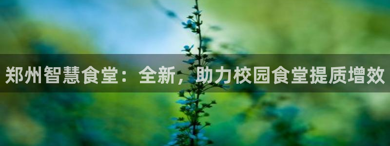 凯时国际网站域名