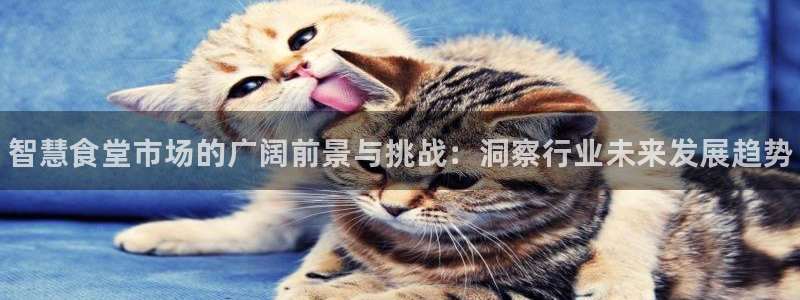 尊龙中国