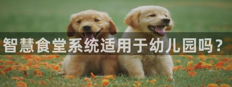 尊龙凯时人生就是博·(中国)官网官：智慧食堂系统适用于幼儿园