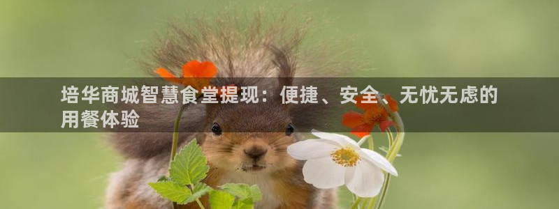 尊龙凯时人生就是搏包装优势