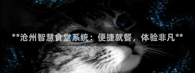 尊龙凯时的企业文化